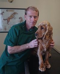 Jerry and cocker spaniel